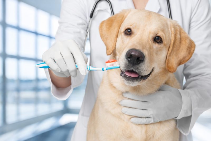 1efb565c-77d8-427b-a5c7-581e4022b39f