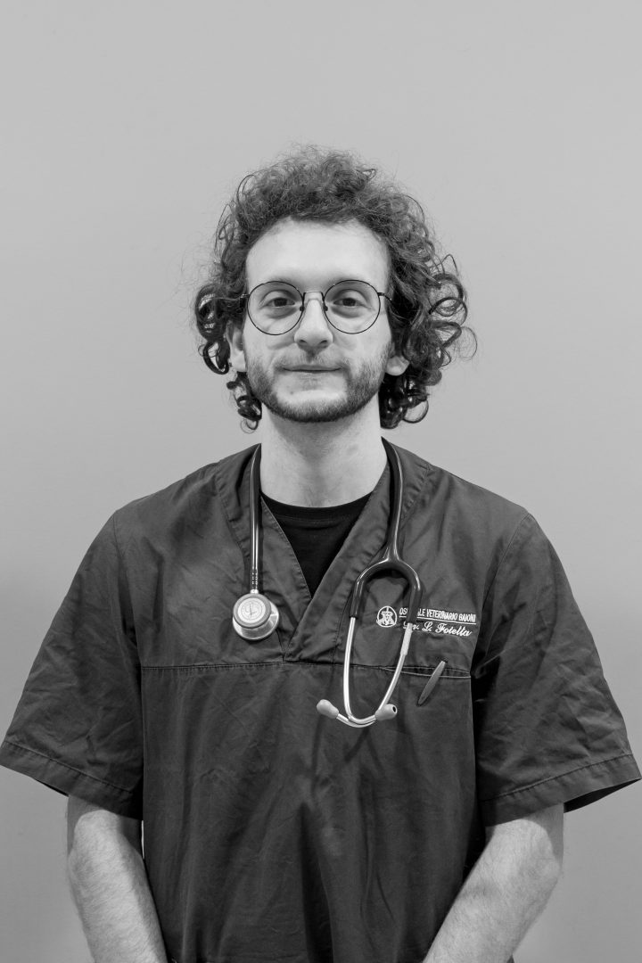 5-L1190244