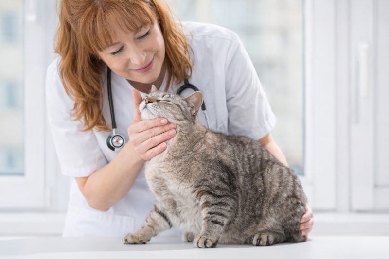 8bb47be3-4d13-4541-89ca-463bf135ed4c-1