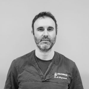 Dott. Michele Bergamaschi veterinario cardiologo, esperto di medicina interna e patologia clinica