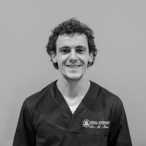 Dott. Andrea Bettani veterinario Medicina Interna e Pronto Soccorso