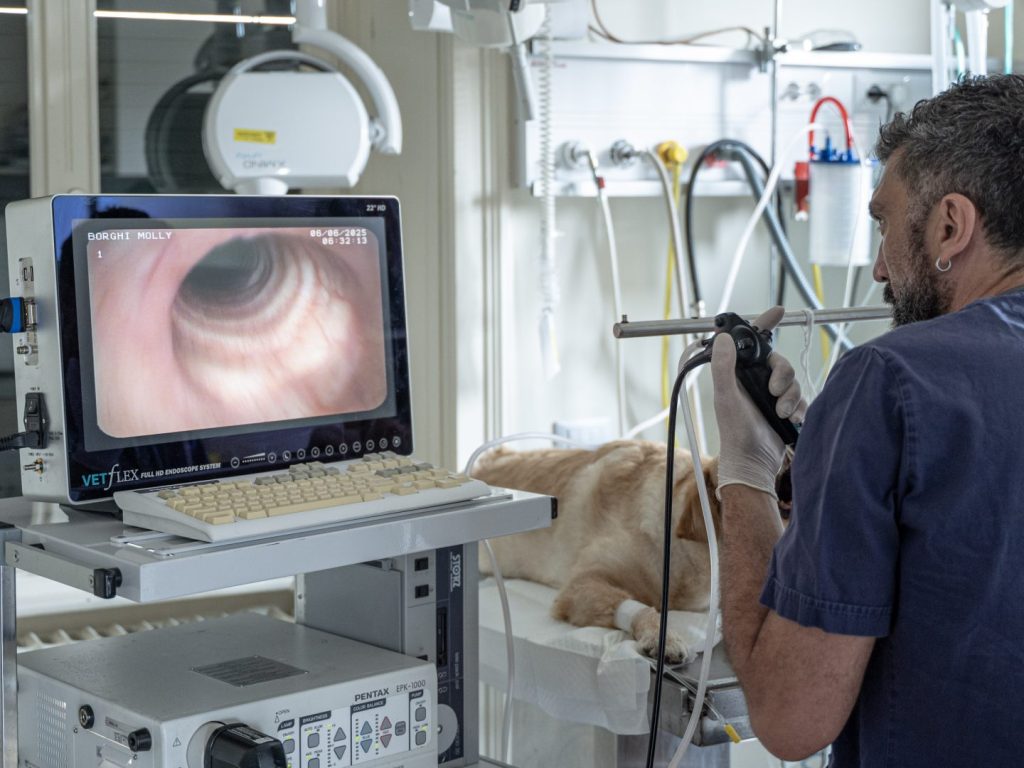 Endoscopia - Dr. Luca Corna