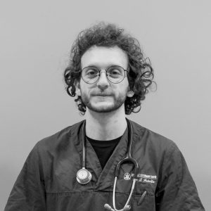 Dott. Lorenzo Foietta veterinario Medicina Interna e Pronto Soccorso