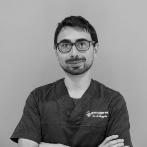 Dott. Luca Mazzola, medico veterinario specialista in Medicina Interna, Pronto Soccorso e Laboratorio.