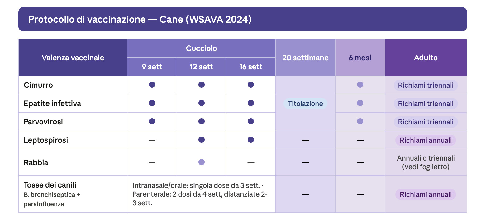 vaccini_cane_white